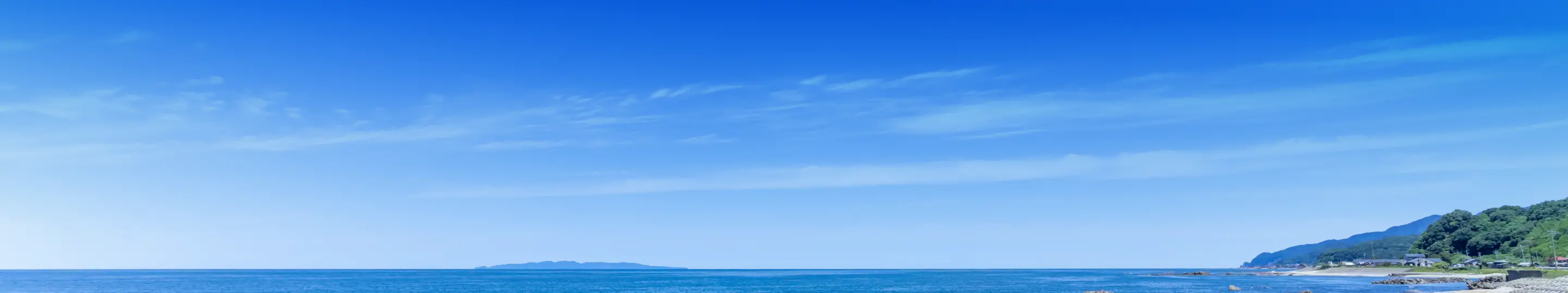 ページトップ