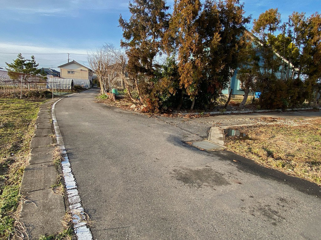 新潟市南区大郷土地