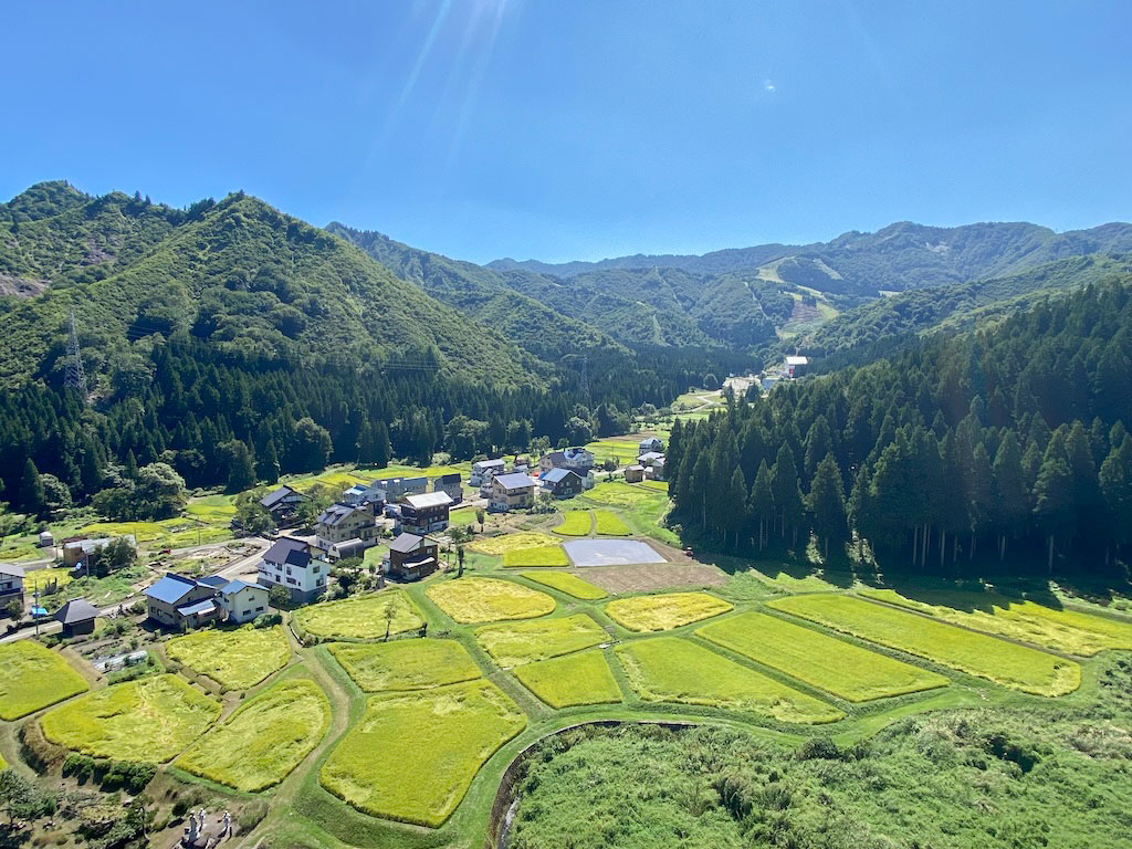 ステラタワー神立 17F 1LDK