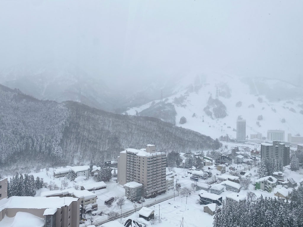 ファミールヴィラ苗場タワー 22階 1LDK