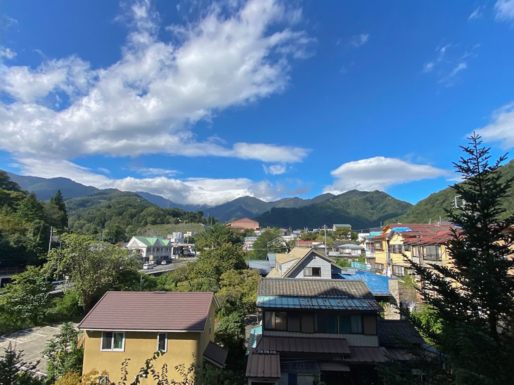 ロイヤルプラザ水上 4階 1K