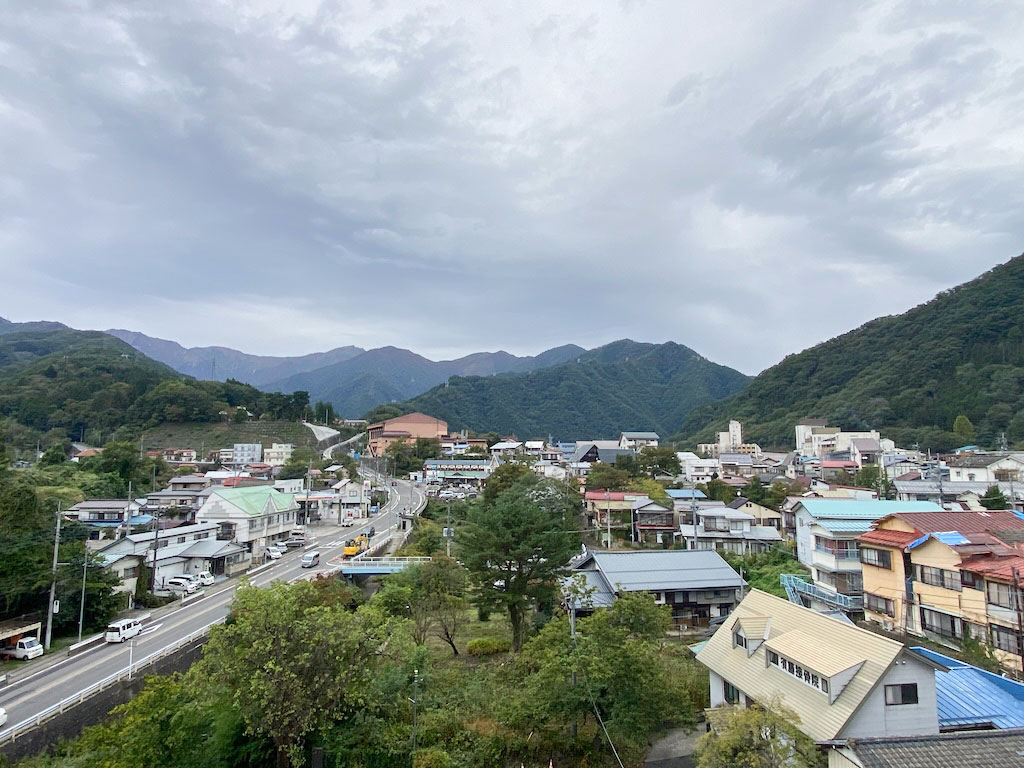 ロイヤルプラザ水上 7階 1LDK