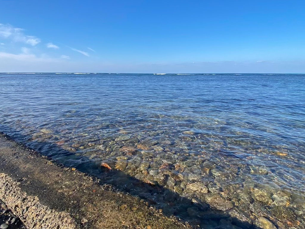 出雲崎町 サウナ付きヴィラ（売り宿泊施設・オーナーチェンジ）