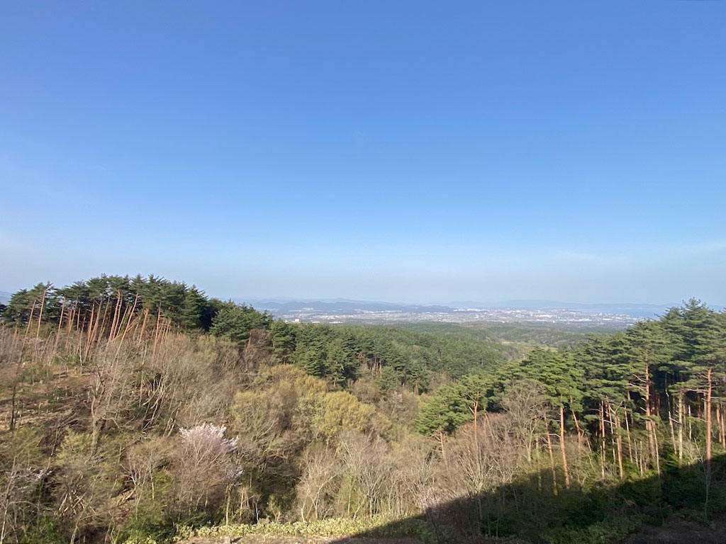 ロイヤルヴァンベール大山Ⅰ番館 7階 2LDK